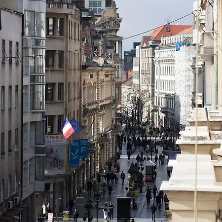 Knez *